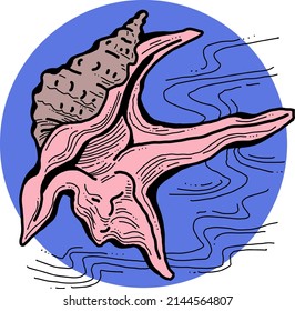 Sea shell natural beauty from ocean beach treasure collection. Summer time vacation mood. Aquarium exotic tropical decoration. Hand drawn boho retro vintage vector illustration. Old style drawing.