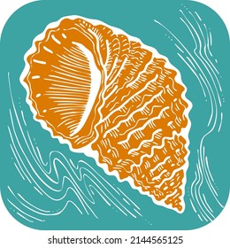 Sea shell natural beauty from ocean beach treasure collection. Summer time vacation mood. Aquarium exotic tropical decoration. Hand drawn boho retro vintage vector illustration. Old style drawing.