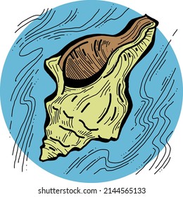 Sea shell natural beauty from ocean beach treasure collection. Summer time vacation mood. Aquarium exotic tropical decoration. Hand drawn boho retro vintage vector illustration. Old style drawing.