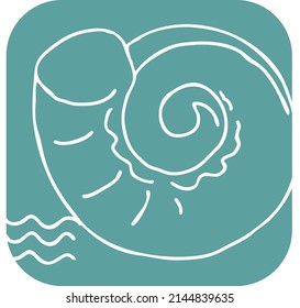 Sea shell natural beauty from ocean beach treasure collection. Summer time vacation mood. Aquarium exotic tropical decoration. Hand drawn boho vector illustration. Simple line  drawing.
