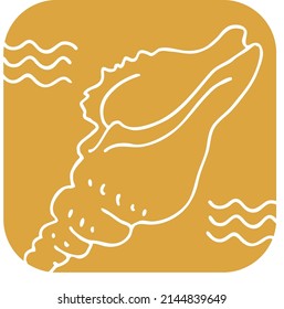 Sea shell natural beauty from ocean beach treasure collection. Summer time vacation mood. Aquarium exotic tropical decoration. Hand drawn boho vector illustration. Simple line  drawing.