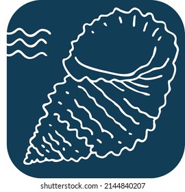 Sea shell natural beauty from ocean beach treasure collection. Summer time vacation mood. Aquarium exotic tropical decoration. Hand drawn boho vector illustration. Simple line  drawing.