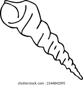 Sea shell natural beauty from ocean beach treasure collection. Summer time vacation mood. Aquarium exotic tropical decoration. Hand drawn vector illustration. Simple line drawing.
