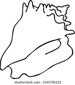 Sea shell natural beauty from ocean beach treasure collection. Summer time vacation mood. Aquarium exotic tropical decoration. Hand drawn vector illustration. Simple line drawing.