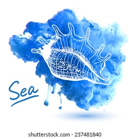 Sea shell on a watercolor background. Original hand drawn illustration