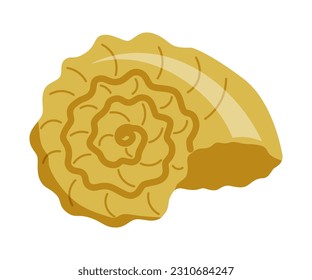 Sea shell on white background. Vector illustration.