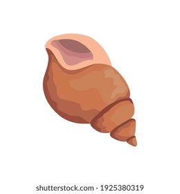 sea shell orange color isolated icon vector illustration design