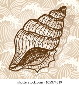 Sea shell. Original hand drawn illustration in vintage style