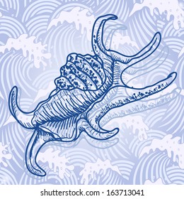 Sea shell. Original hand drawn illustration in vintage style