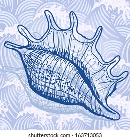 Sea shell. Original hand drawn illustration in vintage style