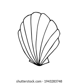 Sea shell outline Doodle on white background vector illustration. Design icon, print 