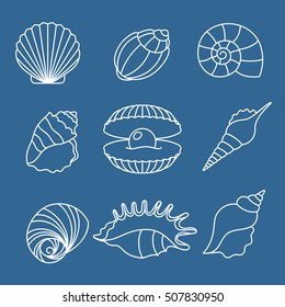 Sea shell outline icons on blue background. Vector illustration