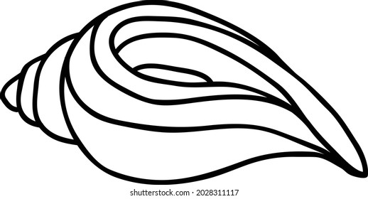 Sea shell outline vector art and illustration