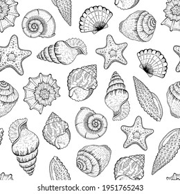 Sea Shell Pattern. Seashell seamless vector background. Ocean beach illustration with sketch starfish, shells, tropic seashells. Summer marine vintage print. Hand drawn underwater life black graphic