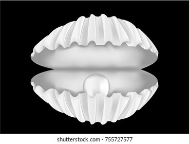Sea shell with a pearl