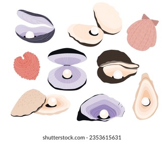 Sea shell with pearl. Cartoon shellfish nacre decoration, luxury precious treasure sphere, expensive seashell jewelry. Vector isolated set. Aquatic shining gift for beautiful accessories