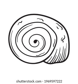 Sea shell pearl line art. Summer time beach shell. Vector hand drawn seashell. Nature ocean sketch mollusk. Water marine exotic animal, Scallop underwater tropical cockleshell.