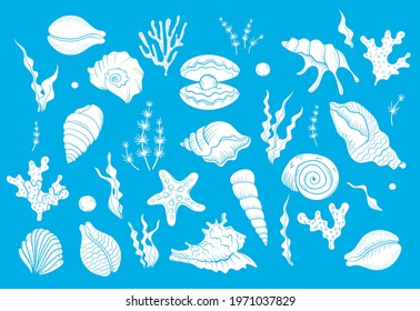 Sea shell pearl line art. Summer time beach shell. Vector hand drawn seashell. Nature ocean sketch mollusk. Water marine exotic animal, Scallop underwater tropical cockleshell.