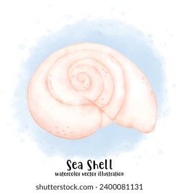 Sea Shell, Pearl Shell, Shell, watercolor vector, illustration