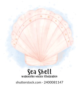Sea Shell, Pearl Shell, Shell, watercolor vector, illustration