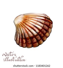 sea shell realistic 3d illustration vector icon