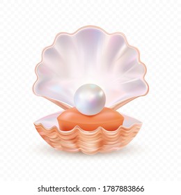 Sea shell realistic icon isolated on white background. Mother of pearl, oyster, clam. Finest quality. Vector Illustration.