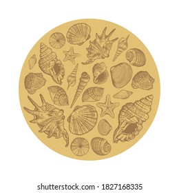 Sea shell round pattern. Hand drawn retro color shells by circle. Vector illustration for your design 