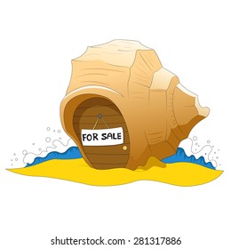 Sea shell for sale