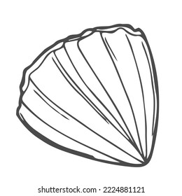 Sea shell, scallop vector sketch illustration. Seashell outline icon. Clam doodle. Scallop closed shell drawing