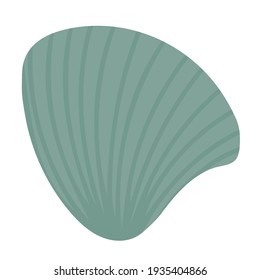 Concha marina. La concha marina, un molusco que vive en el mar. Ilustración vectorial dibujada a mano. Objeto aislado, elemento sobre un fondo blanco.