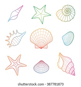 Sea shell, seashell, starfish. Seahells in vector isolated on white.