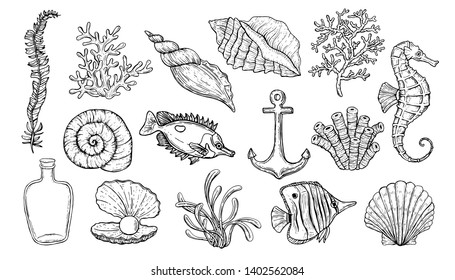 Sea Shell, Seaweed, Anchor, Seahorse, And Fish. Hand Drawn Underwater Creatures.