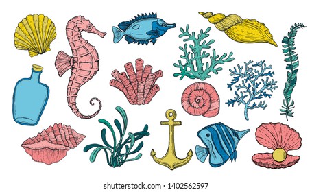 Sea shell, seaweed, anchor, seahorse, and fish. Hand drawn underwater colorful creatures.