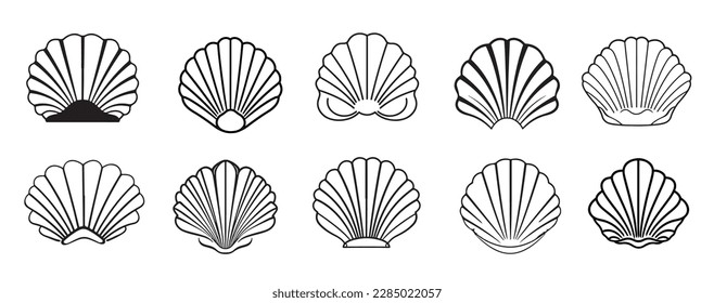 Sea shell set icons hand drawn sketch illustration