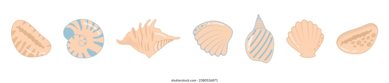 Sea shell set. Sea mollusks shell, collection of sea shells, ocean, underwater shells, exotic nature of the underwater world, sea animals, beach shell tropical nature. Vector flat illustration.