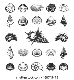 Sea shell silhouettes. Marine sand shells icons like nautilus or scallop vector illustration