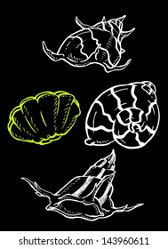 sea shell simple drawing