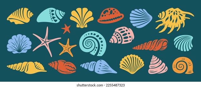 Sea shell, sink cartoon engraving set. Ocean exotic underwater seashell conch aquatic mollusk, sea spiral snail, marine starfish collection. Tropical beach shells aquatic water design illustration