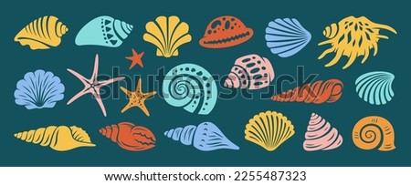 Sea shell, sink cartoon engraving set. Ocean exotic underwater seashell conch aquatic mollusk, sea spiral snail, marine starfish collection. Tropical beach shells aquatic water design illustration Foto stock © 