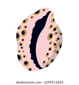 Cubierta marina, caricatura del fregadero. Molusco acuático de conchas marinas exóticas oceánicas submarinas, caracol de espiral marina, colección de peces estrella marina. conchas de playa tropical naturaleza agua acuática ilustración de diseño plano