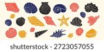 Sea shell, sink cartoon set. seashell aquatic mollusk doodle hand drawn icon set. Outline drawing line clipart symbol collection. Vector illustration