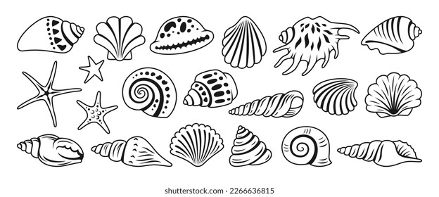 Sea shell sink doodle cartoon set. Ocean exotic underwater seashell conch aquatic mollusk, sea spiral snail marine starfish symbol collection. Tropical beach shells nature aquatic design illustration