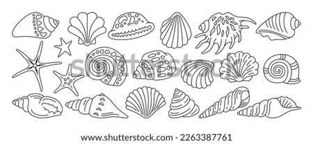 Sea shell, sink linear doodle set. Ocean exotic underwater seashell conch aquatic mollusk, sea spiral snail, marine starfish collection. Tropical beach shells nature aquatic water design illustration Foto d'archivio © 