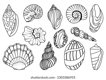 Sea shell sink outline set. Ocean exotic underwater seashell conch aquatic mollusk, sea spiral snail, marine starfish collection. Tropical beach shells nature aquatic water flat design illustration