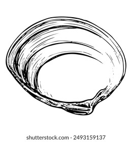 Sea Shell Skizze von Hand gezeichnet. Tellina tenuis Elasmobranchius. Die zweischaligen Muscheln der Meeresmuschel. Souvenir aus dem Sommerurlaub am Strand. Grafik-Illustration der Vektorgrafik.