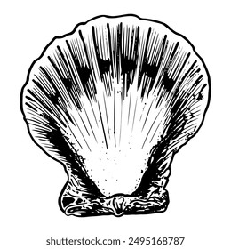 Sea Shell Skizze von Hand gezeichnet. Kammmuschel. Zweischalige Muscheln von Meerestieren, Muscheln. Souvenir aus dem Sommerurlaub am Strand. Grafik-Illustration der Vektorgrafik.