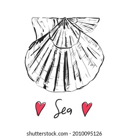 Sea shell sketch. Hearts. Sea background