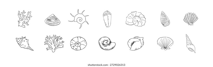 concha do mar esboço vida do oceano mão desenhada ilustração contorno