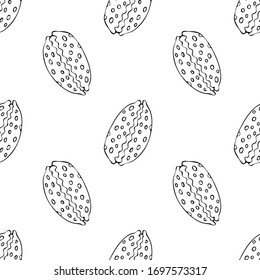 Cubierta marina, estilo de boceto vectorial sin fisuras aislado en fondo blanco. Dibujo manual realista de conchas de agua salada, almejas, conchas