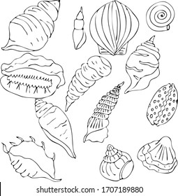 クラゲが線画体 白黒のベクター海洋動物 大人や子ども向けの塗り絵本のページデザイン のベクター画像素材 ロイヤリティフリー Shutterstock